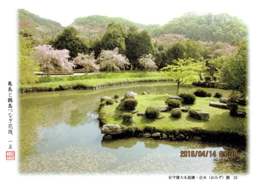亀島と鶴島つなぎ花筏